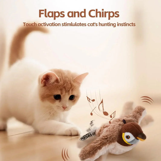 Interactive Cat Toys Shop1103200225 Store