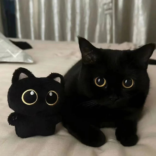 Cute black cats Key holder DOYOUDO Official Store