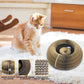 Magic Cat Scratch Organ Board Cat Toy with Ball - Snugior